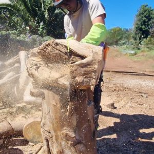 Seguridad y manejo de motosierra y desbrozadora. Del 24 al 27 de junio 2026. Tacoronte